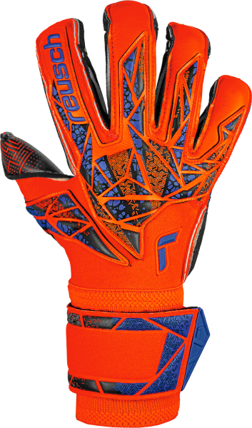 Reusch Attrakt Gold X Evolution GluePrint 5470975 2211 blau orange front